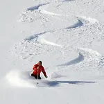 Alpine * Aosta